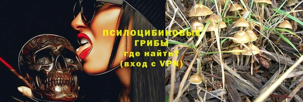 альфа пвп Бородино