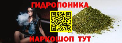 jwh Пыть-Ях