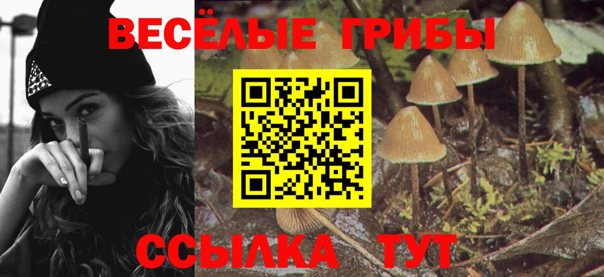 Псилоцибиновые грибы мицелий  Вход с VPN  Псилоцибиновые грибы мухоморы  Липецк 