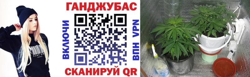 Бошки марихуана семена  наркошоп  Липецк 