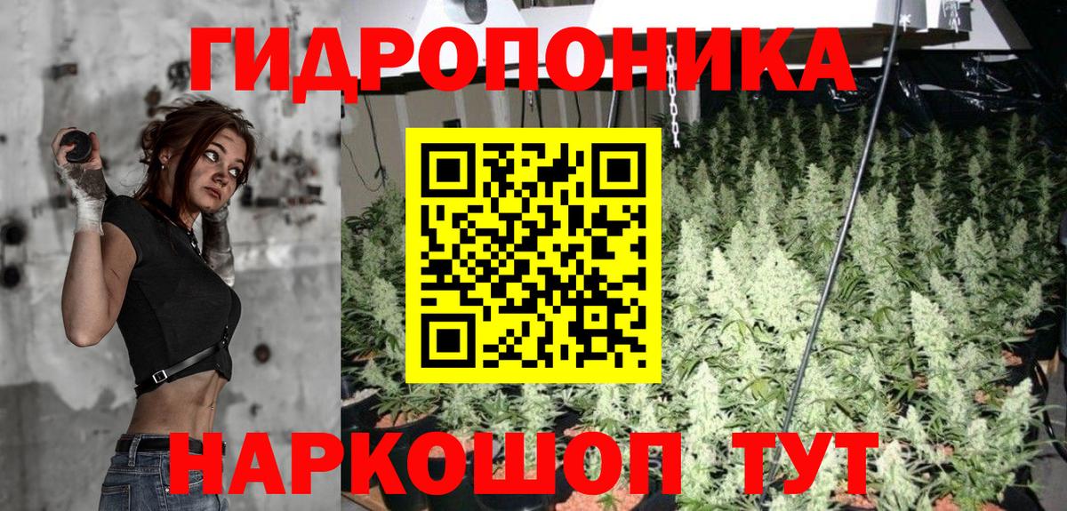 Каннабис индика Липецк